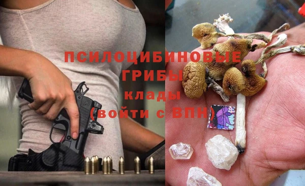 дмт Приозерск