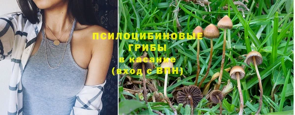 jwh Арсеньев